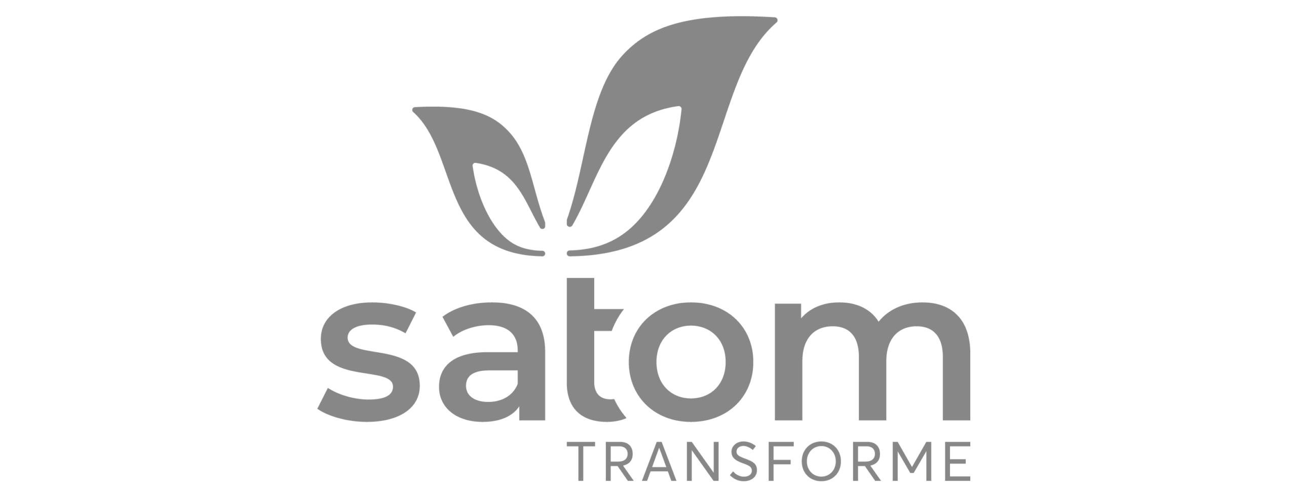 Conception de l'identité visuelle Satom SA, votre graphiste indépendante située en Suisse Romande