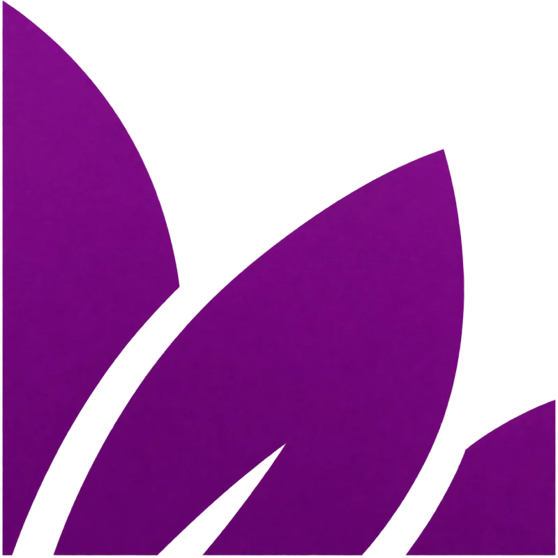 Logo vectorisé agrandi à 400 % sans perte de qualité